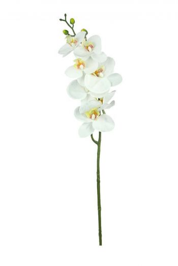 ORQUIDEA PHALAENOPSIS TR X7 COM BOTOES