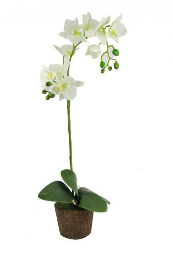 ARRANJO ORQUIDEA PHALAENOPSIS PONT X2 COM 9 FLORES