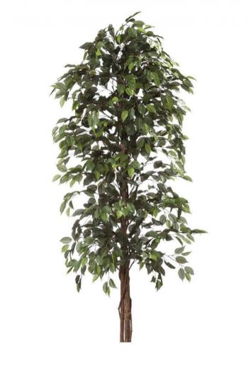 ARVORE FICUS TRONCO NATURAL COM 1161 FOLHAS