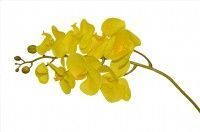 ARTIFICIAL ORQUIDEA X8 100CM TOQUE REAL AMARELO.JPG