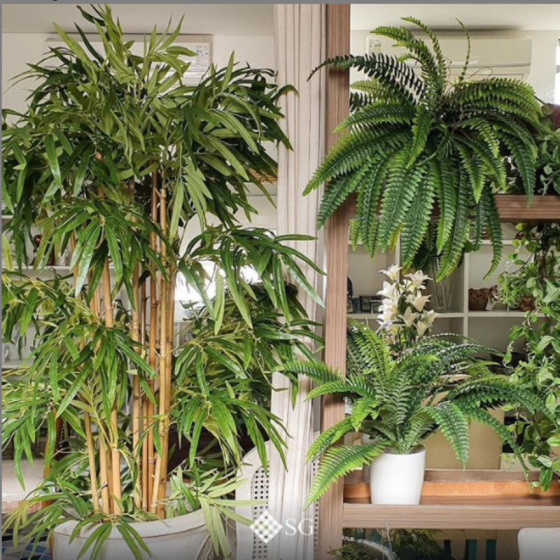 Urban jungle (ou selva urbana) é tendência na decoração