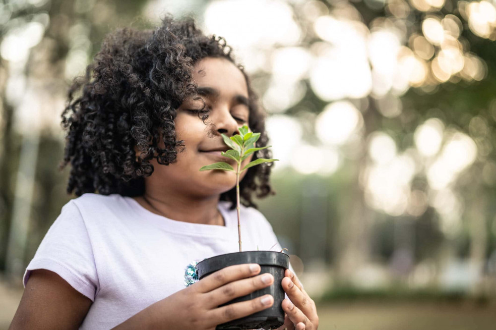 Criança e Planta